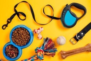 Dog Accessories Business: A Growing Opportunity in the Pet Industry