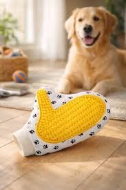 Dog Accessories Business: A Growing Opportunity in the Pet Industry 
